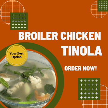 Tinolang Broiler Chicken