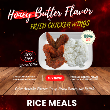 Fried Chicken Wings - Honey Butter Flavor