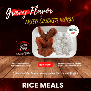 Fried Chicken Wings - Gravy Flavor